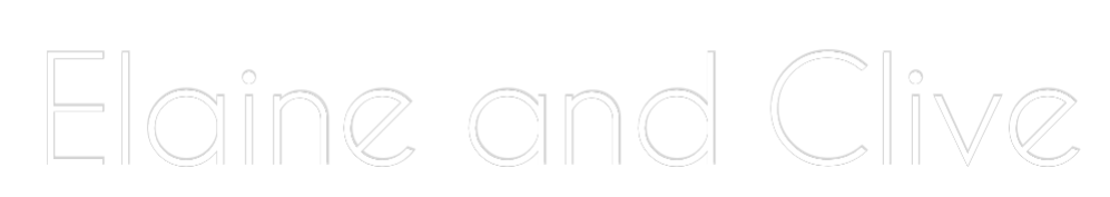 Custom Neon: Elaine and Cl...